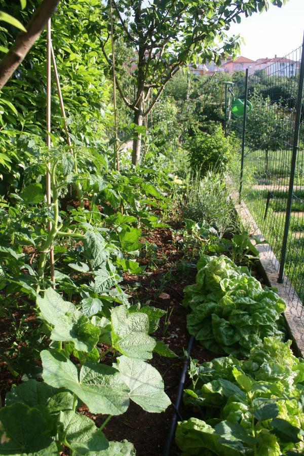 Apartment Green Garden Pula Zewnętrze zdjęcie